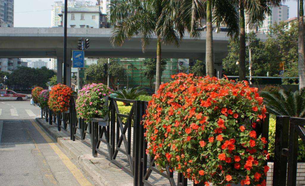 花箱護欄 花箱護欄